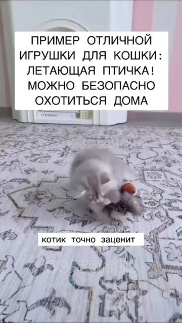 Отличная игрушка