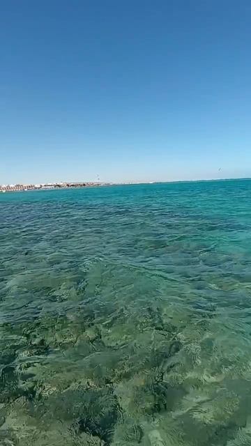 зимний ветер