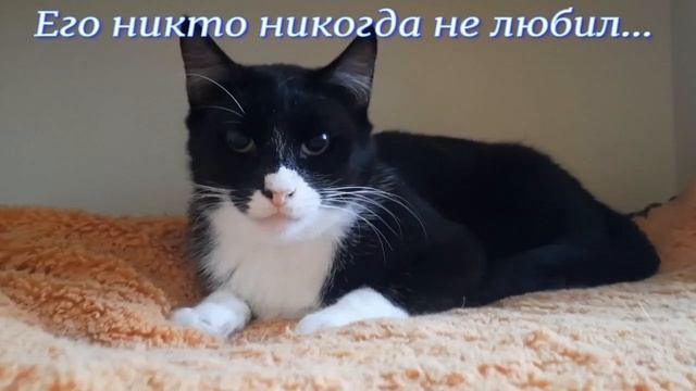 Мусье
