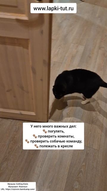 рабочие будни 😁