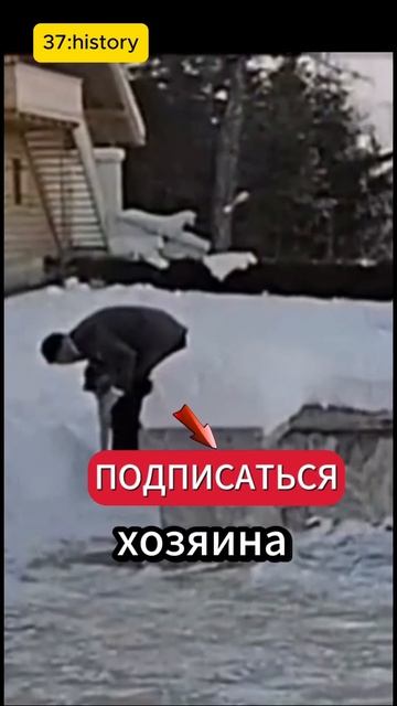 За что Гитлер любил свою собаку Блонди?