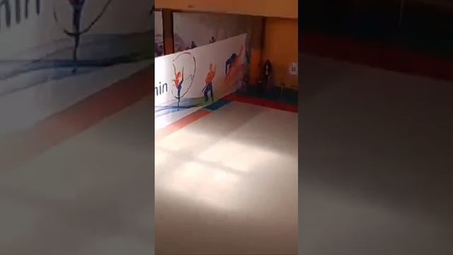 Мой любимый вид спорта