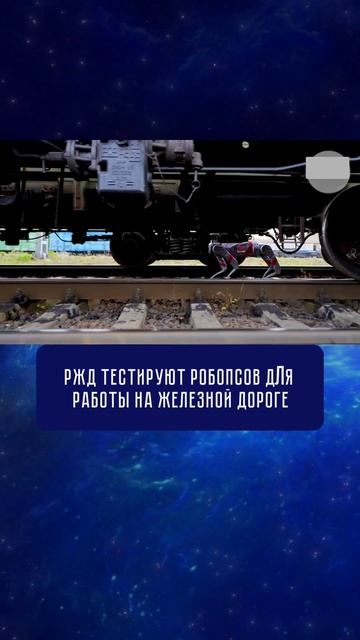 Выступление Президента на концерте «Ленинградская Победа»