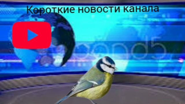 короткие новости моего канала