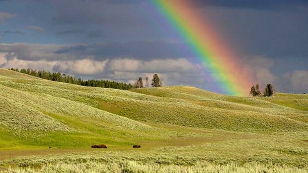 КНИГА ПСАЛТЫРЬ. ПСАЛОМ 9:16-22