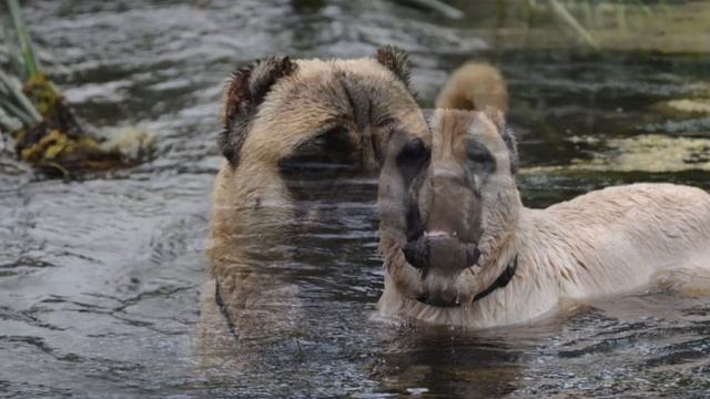 Мой фильм