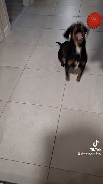 1000112178.mp4