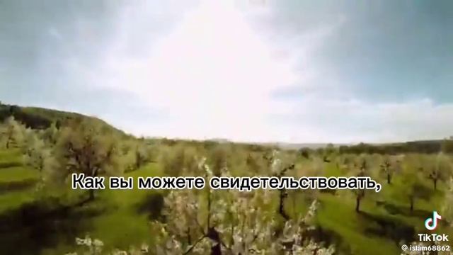 О сын Адама!