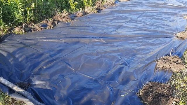 Бахча на черной пленке как способ освоения целины.