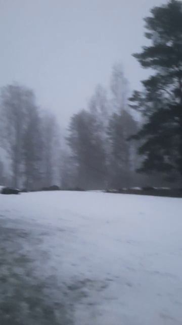 #Левшинов