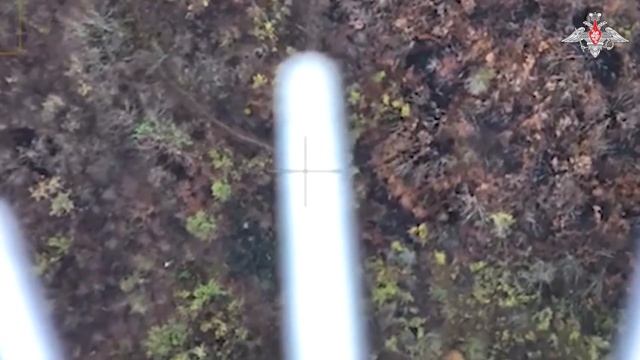 Уничтожение БпЛА ВСУ операторами дронов с сеткомётами