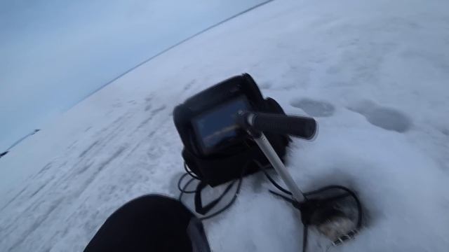 Я не ОЖИДАЛ,что клюнет настоящий ТИТАН глубин. Рыбалка на СУДАКА зимой на Волге