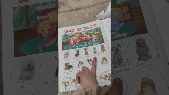 Детские факты о собаках. Обзор на детскую книжку " Кошки и собаки."