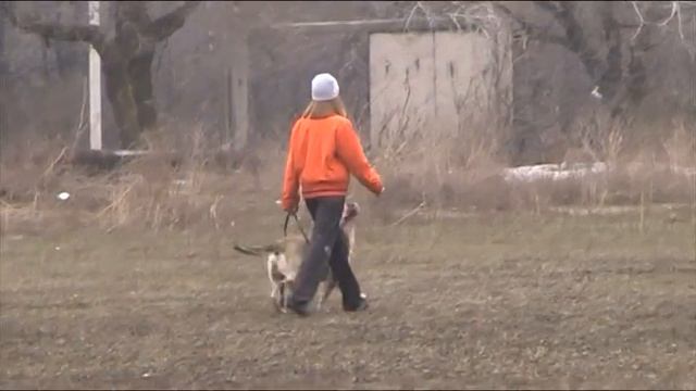 Супрунова Наталия, ка-де-бо Багир ВН (послушание)