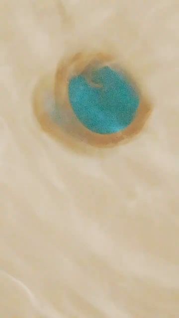 #歌詞動画 #オリジナル #ボカロ #歌ってみた #初音ミク #ボニー