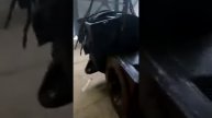 ПЭМРО_Фундаменты,_эстакады_и_поставка_2_х_кранов_февраль_2020_г_