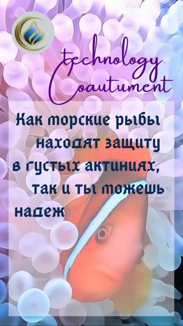 ТриП  Потенциал - Прогресс - Польза - Клип 2 @tripcoautument