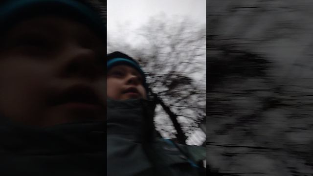 29-01-2025