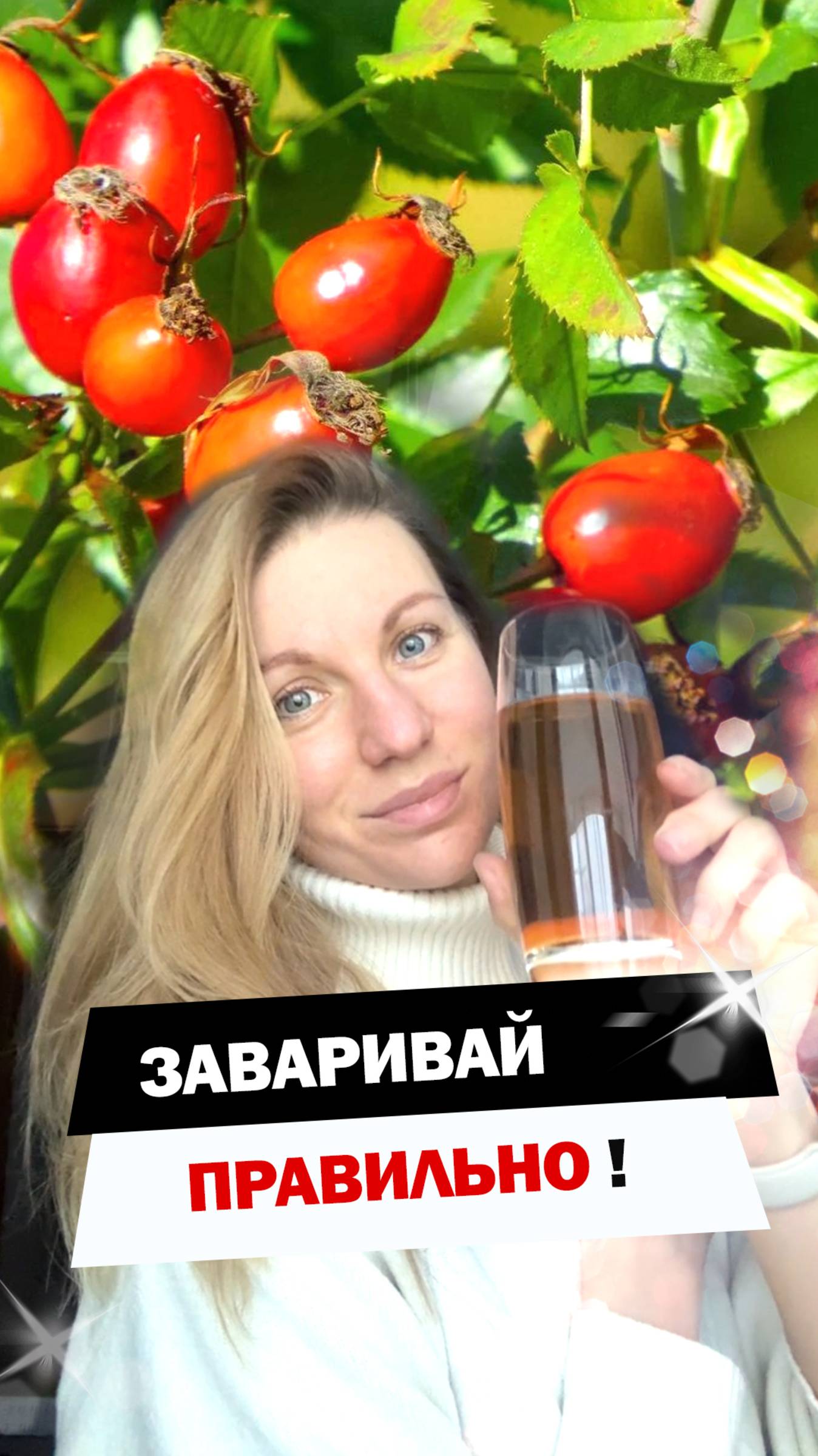 Не портите шиповник!