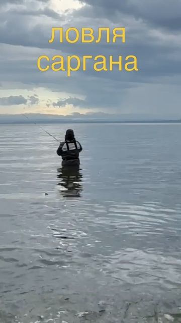 scene_output.mp4