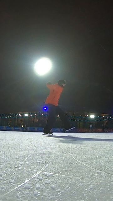 Лужники 20250128
