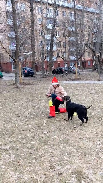 Метис Нэтта - переход к выбросу диска, флип, вольт