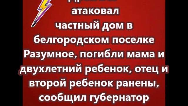 Дрон ВСУ атаковал частный дом в белгородском поселке Разумное, погибли мама и двухлетний ребенок