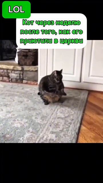 С Богом тоже можно смеяться, не забудь подписаться😉