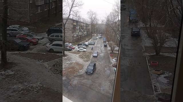 VID_20250129_144439
