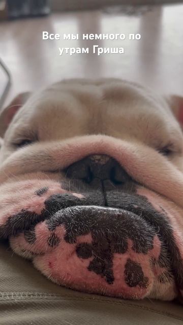 Григорий Семёнович