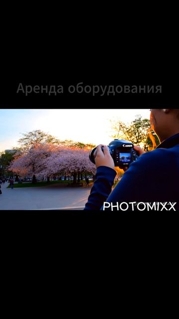беззеркальные фотоаппараты
