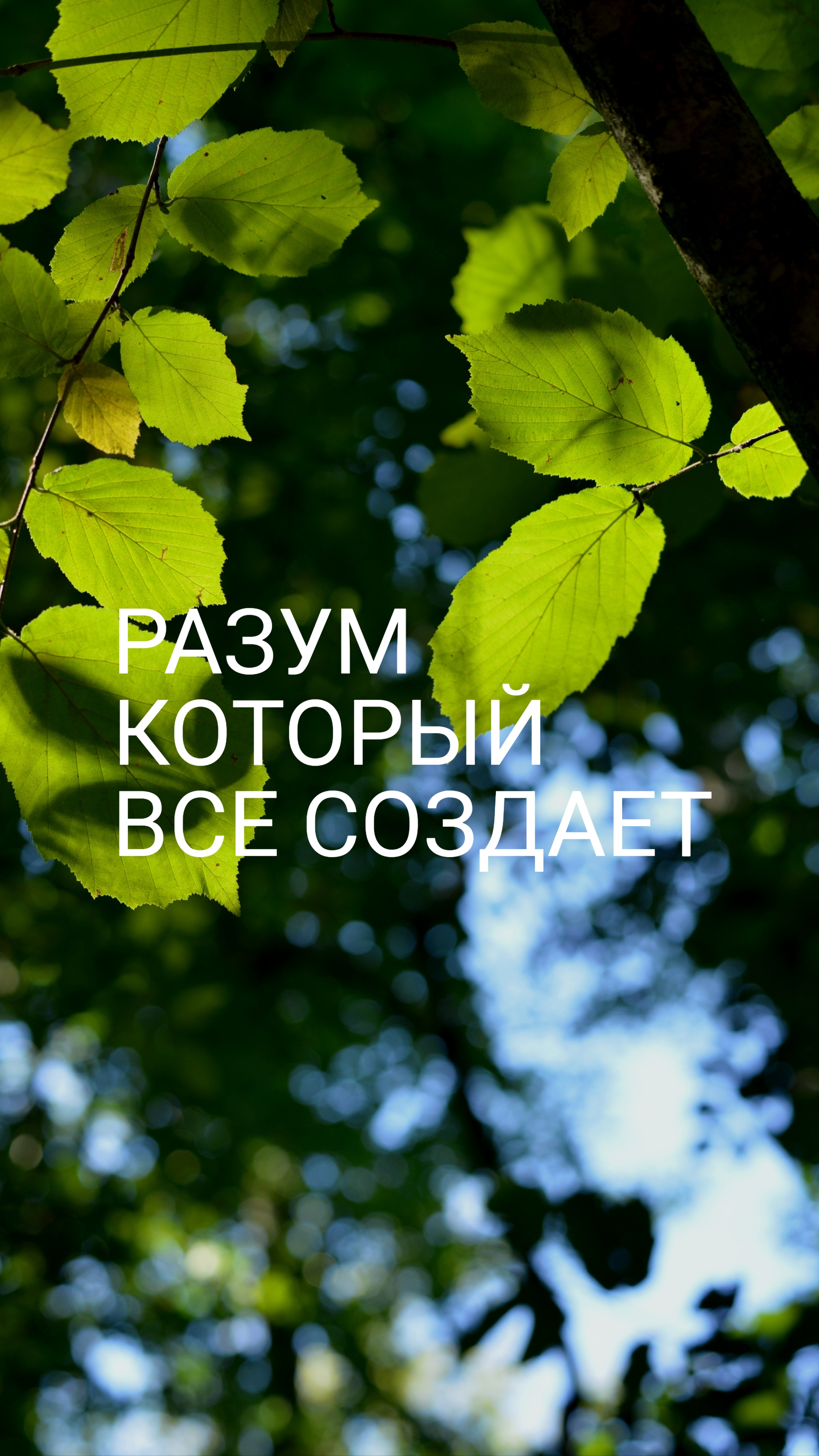 Разум, который все создает