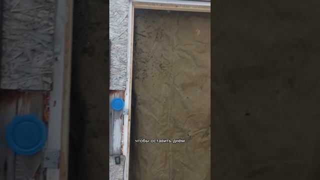 Пчëлам зимой жарко #пчела #пчелосемья #пасека #мед #мёд #матка #улей #деревня #природа #зимовкапчел