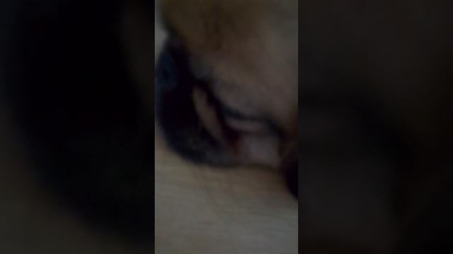 VID_20250129_102553.mp4