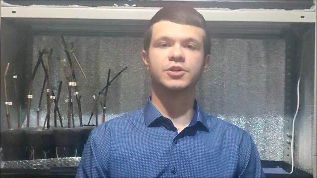 Визитка на Альфа шанс