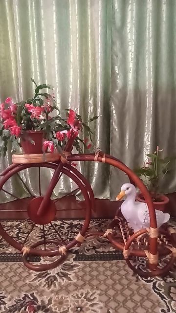 Красавица "Шлюмбергера"
