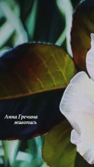 Картина Розы - карамель