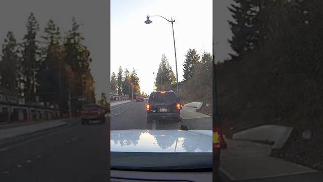ПОДОЗРЕВАЕМЫЙ ПИЛ ВОДКУ ВО ВРЕМЯ ПОГОНИ ЗА НИМ ПОЛИЦЕЙСКИХ..