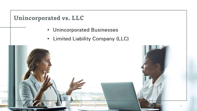Different Types of Business Organizations - Business Studies 1.4.1