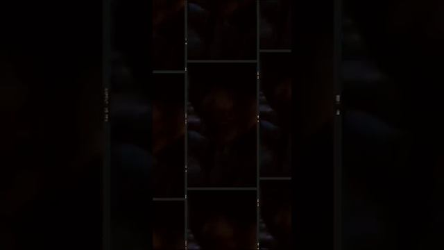 VID-20250130-WA0074.mp4