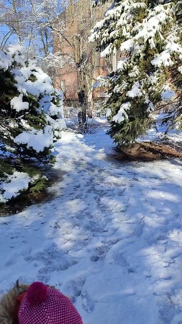 Нежно снежная зима