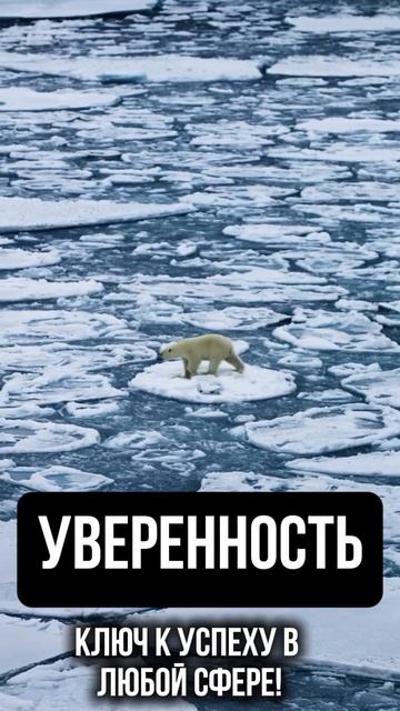 Уверенность в себе