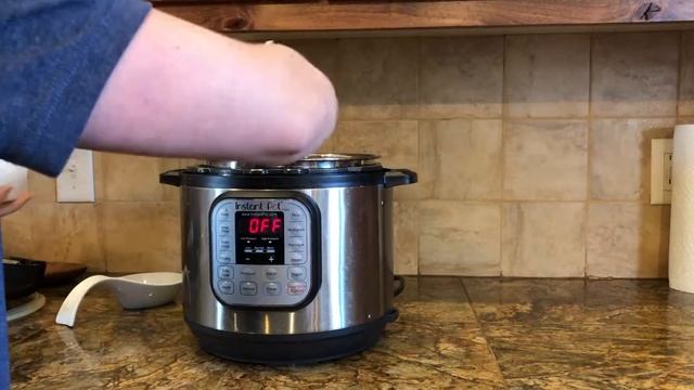 Homemade Greek Vanilla Yogurt in the Instant Pot