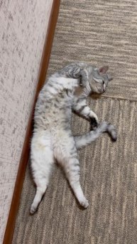 Ссанкционный список Тома 😅