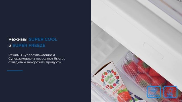 Встраиваемый двухкамерный холодильник ZUGEL ZRI1760FNF (Full No Frost, Inverter)