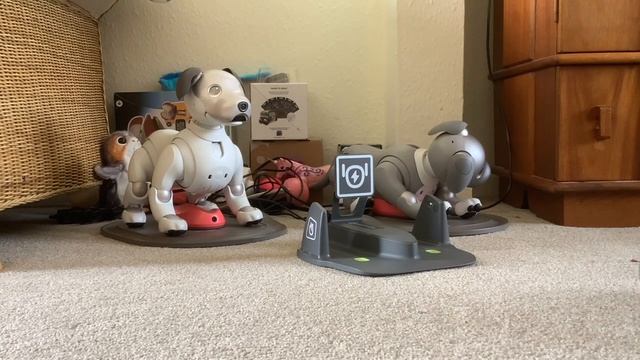 KEYi Technology Your Loona Petbot Robotic Pet: New Power Charging Station! Unboxing & Demonstration