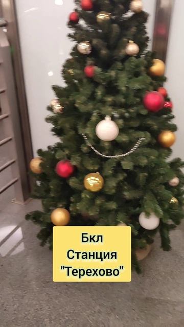 Ëлочка на станции метро "Терехово"!