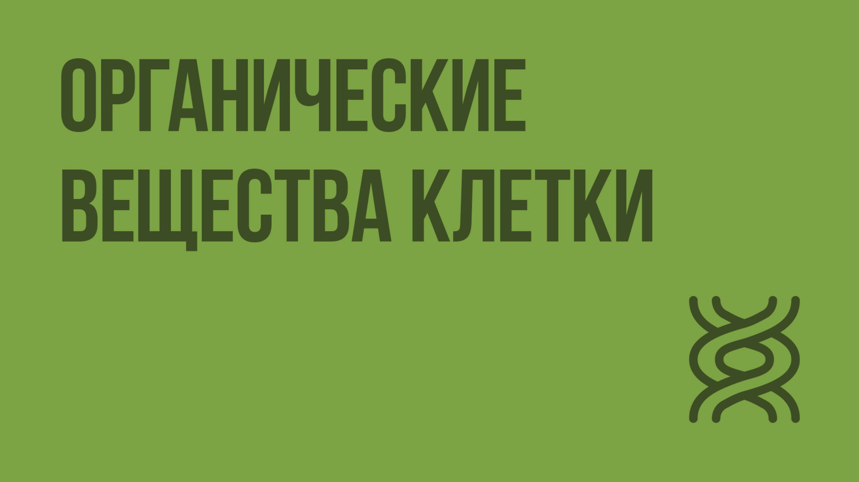 Органические вещества клетки. Видеоурок по биологии 9 класс