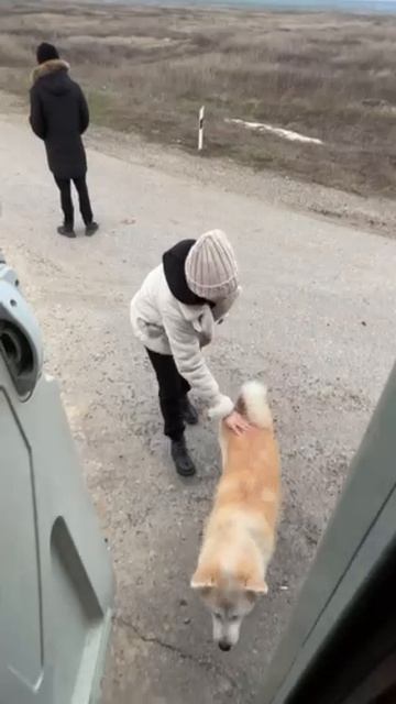 Архыз ч1 Дорожная