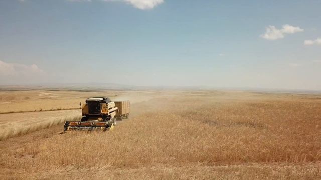 İŞ MAKİNALARI | Biçerdöver | New Holland 5070 | Hasat - Harman Zamanı